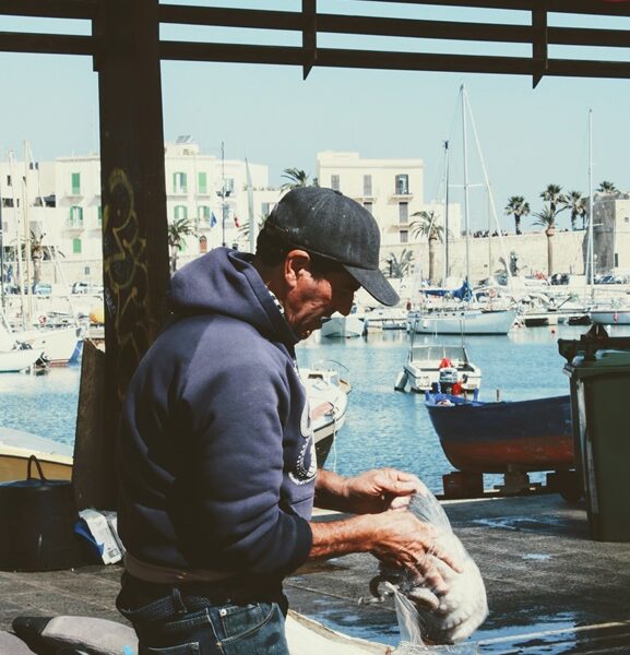 bari03