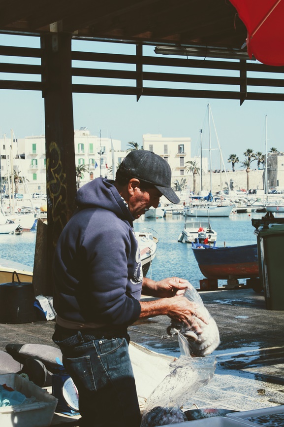 bari03