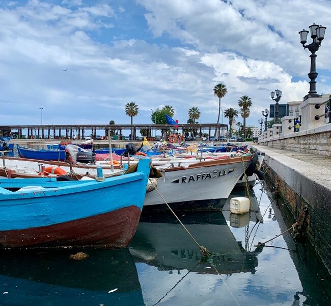 bari05