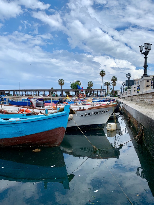 bari05