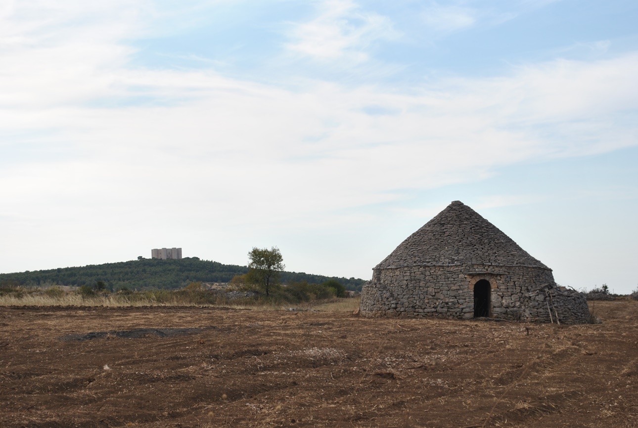 casteldelmonte05