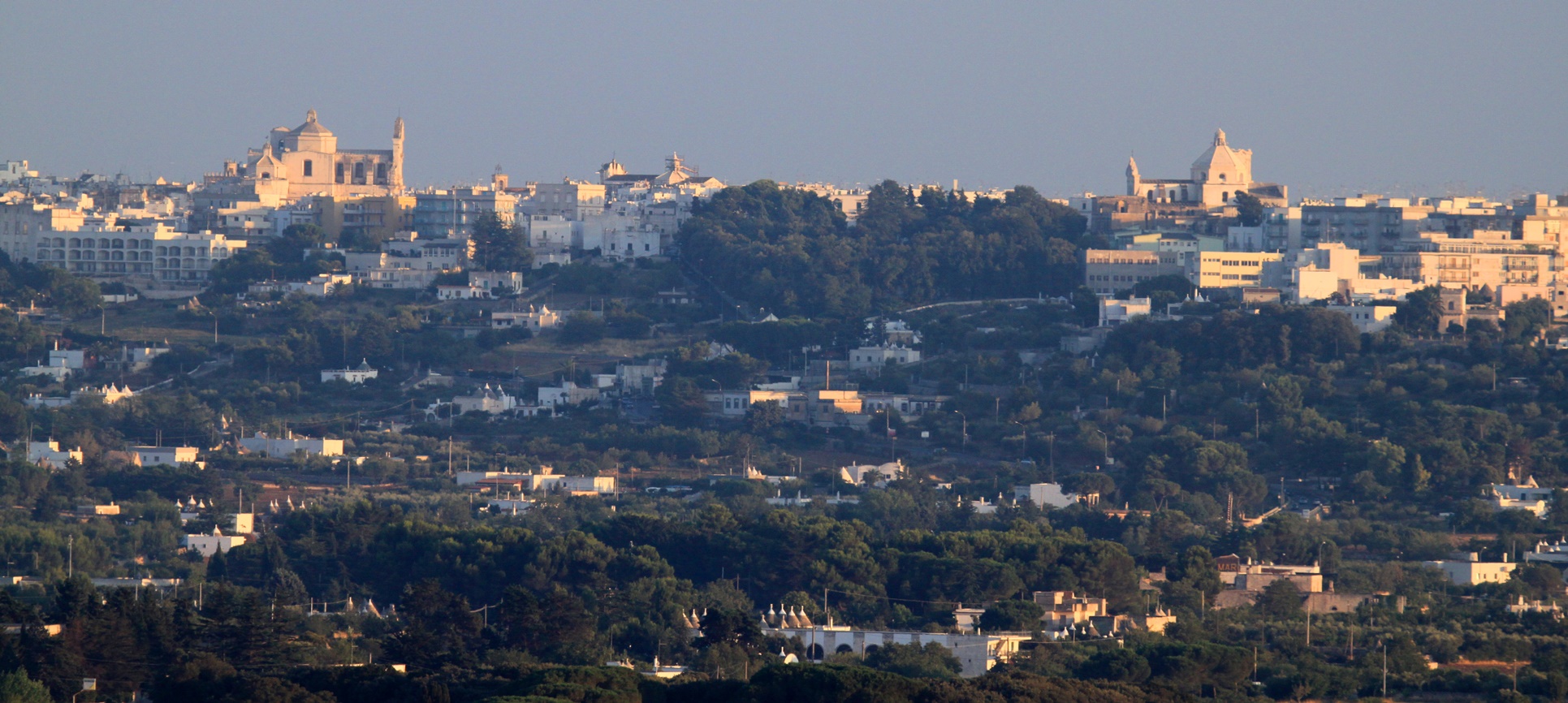 martinafranca03